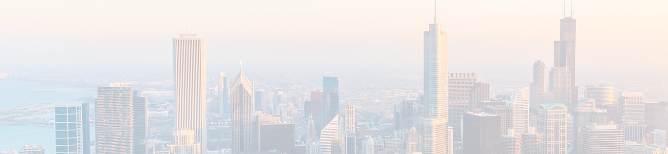 Chicago skyline with white filter